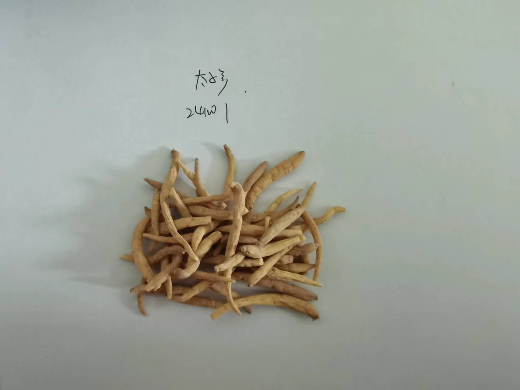 太子参