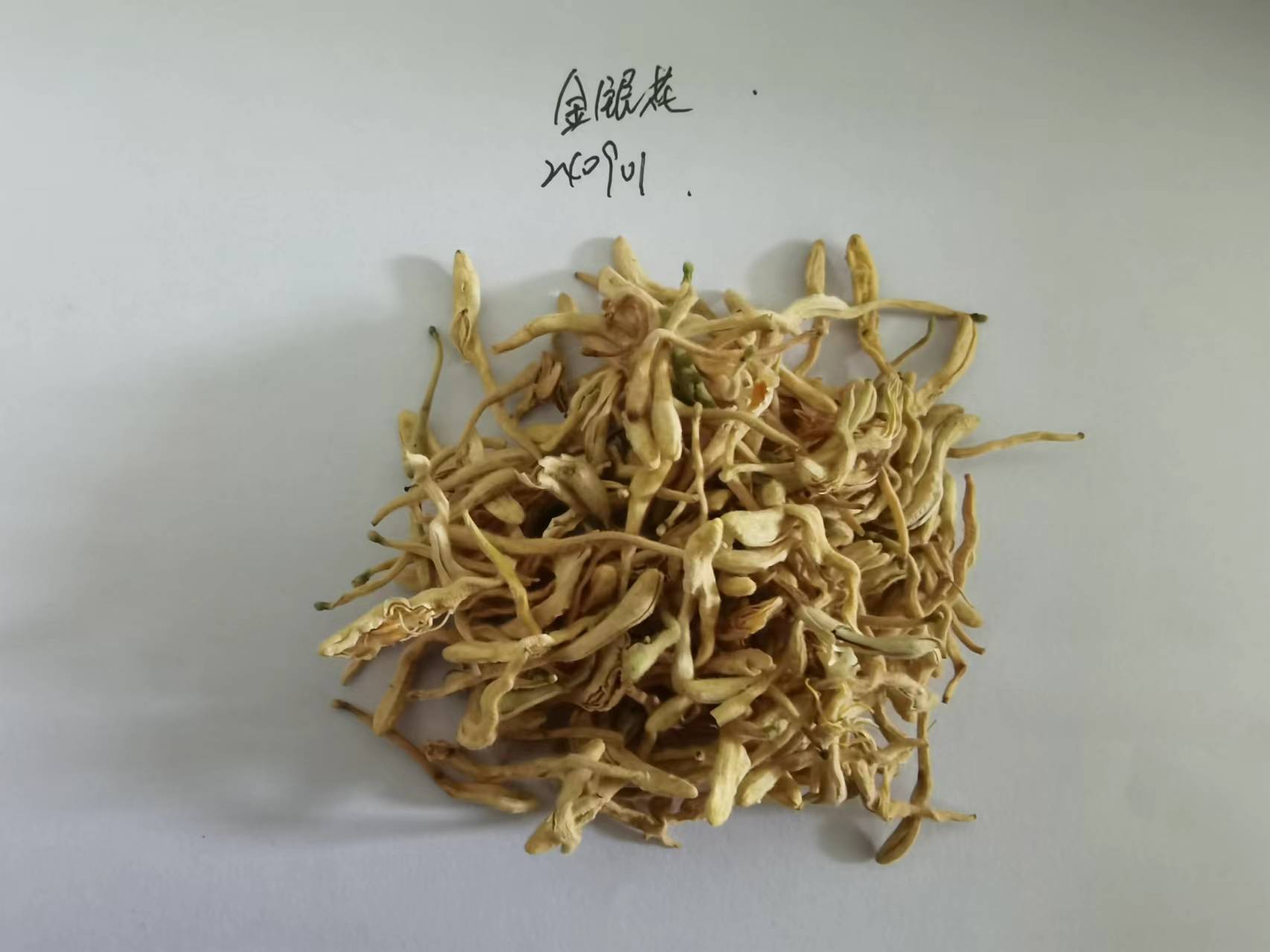 金银花